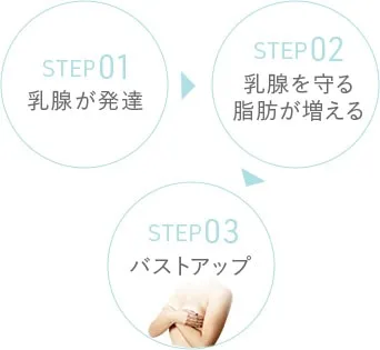 バストアップのステップ