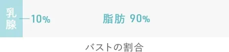 バストの割合