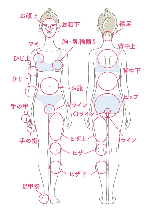 女性脱毛部位