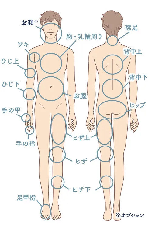 男性脱毛部位